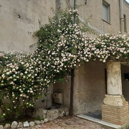 Carboni Cagliari