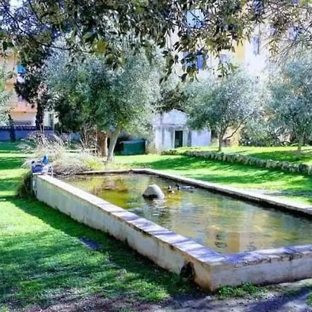 Carboni